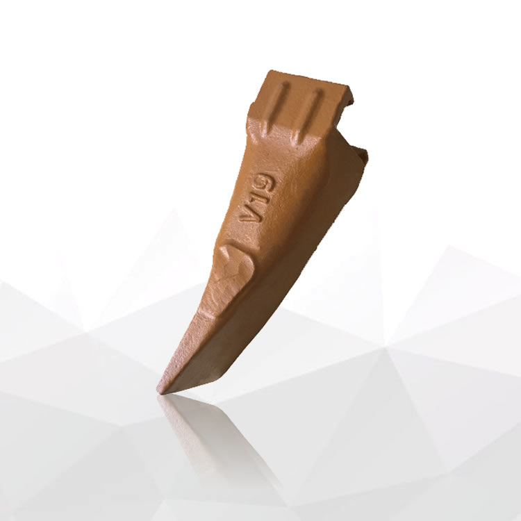 V19 Teeth